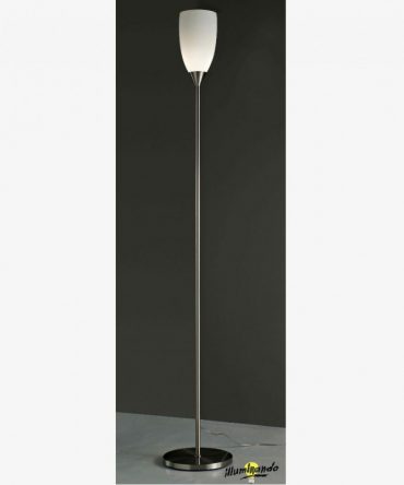 Piantana moderna Calice Illuminando